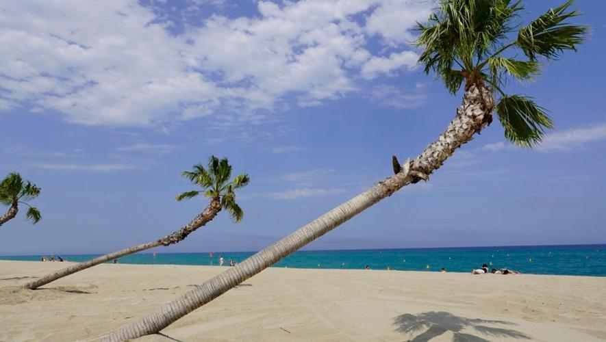 Appartement De Vacances - Splendide Vue Sur Mer, Parking Prive Le Barcarès Zewnętrze zdjęcie
