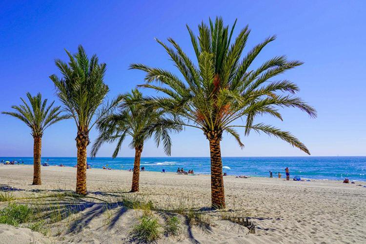Appartement De Vacances - Splendide Vue Sur Mer, Parking Prive Le Barcarès Zewnętrze zdjęcie